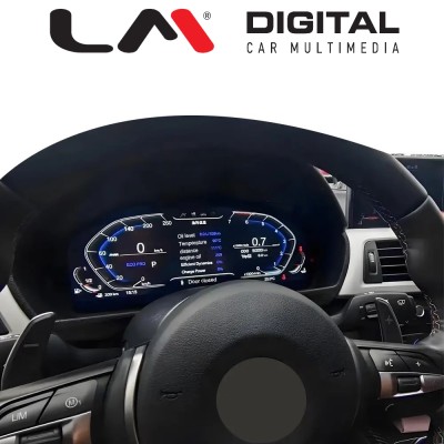 LM CLUSTER BMW 350